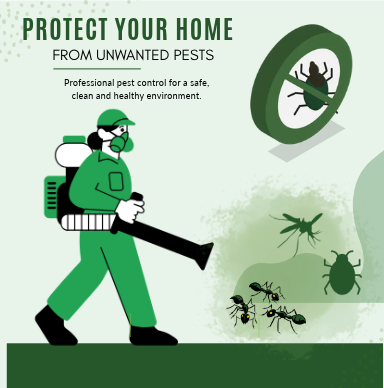 Pest Control Services In Surat