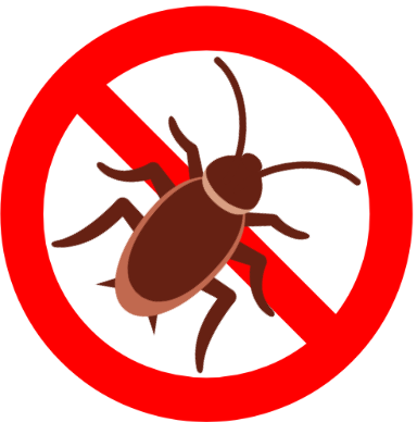 eco pest control termite