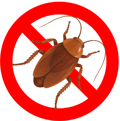 eco pest control cockroach