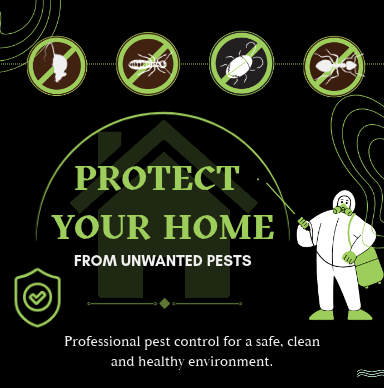 Pest Control Services In Surat